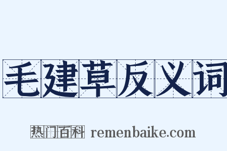 毛建草反义词是什么意思的图片